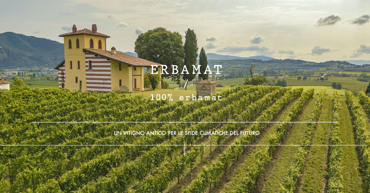 Berlucchi presenta il progetto Erbamat